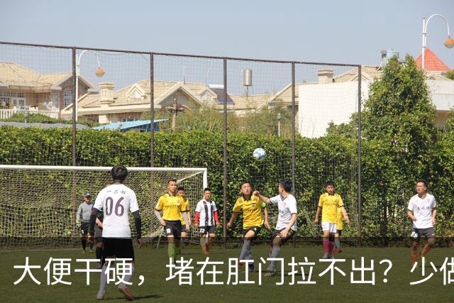 大便干硬，堵在肛门拉不出？少做5件事，助你排便顺畅，远离便秘