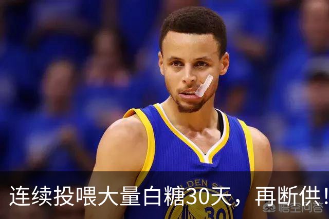 连续投喂大量白糖30天，再断供！国外网红扮“蚂蚁天神”整蛊野生蚁群
