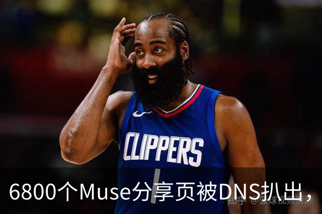 6800个Muse分享页被DNS扒出，Meta紧急暂停